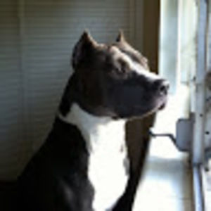 Meet your Posher, Leiani